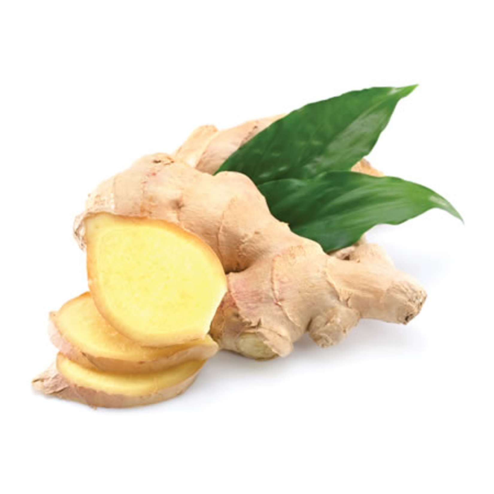 Taze Zencefil