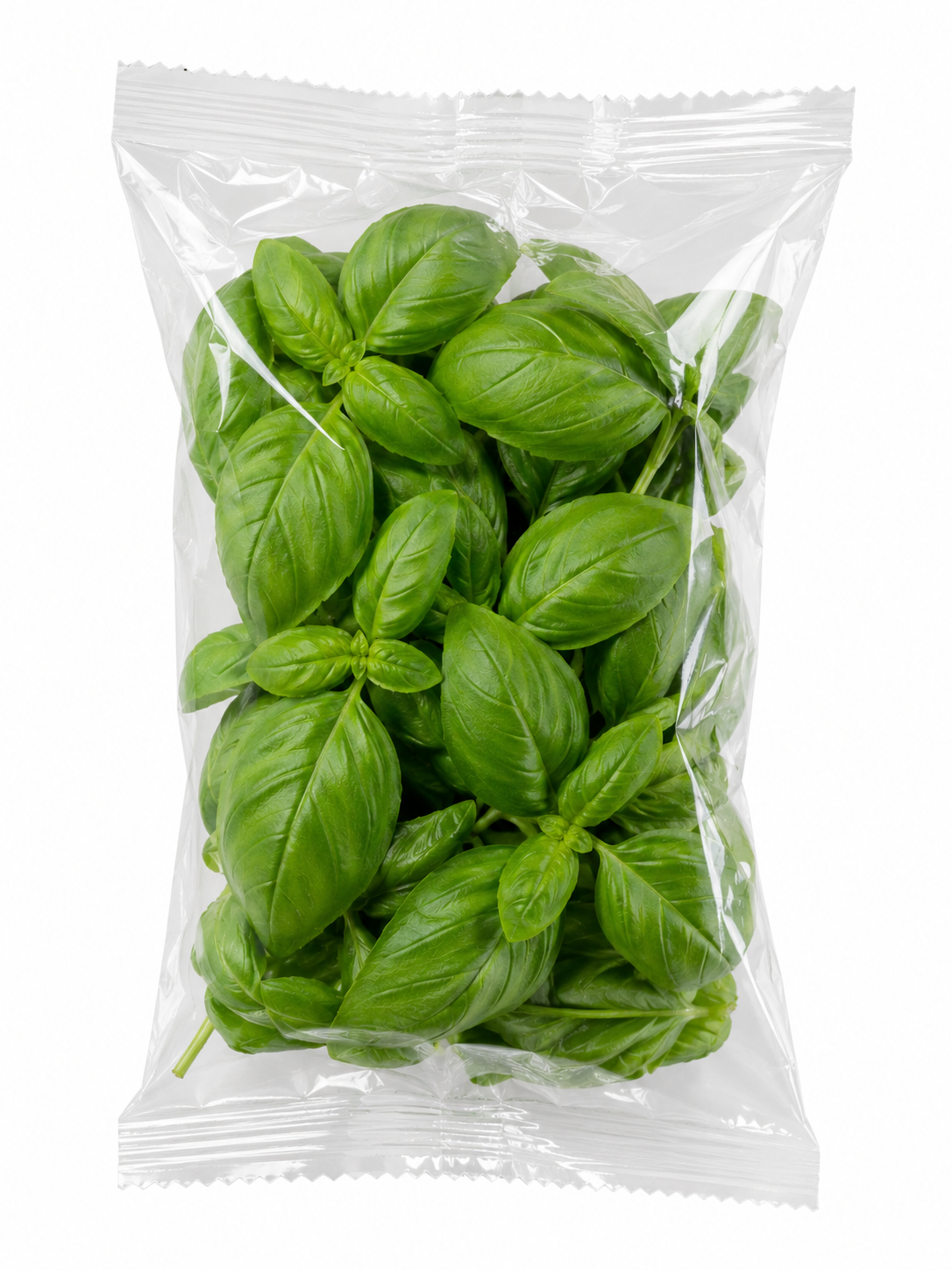 Fesleğen 25 Gram