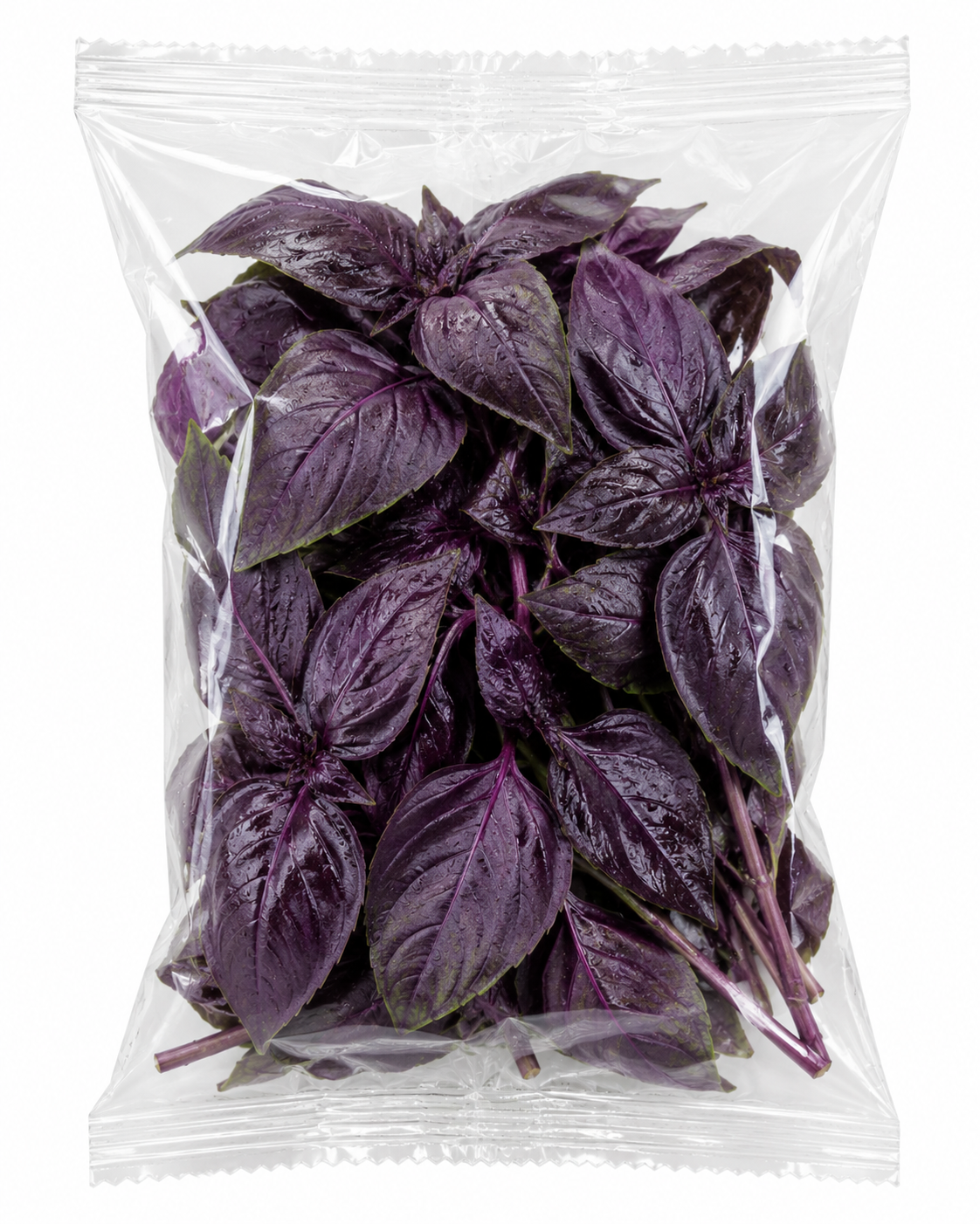 Reyhan 25 Gram