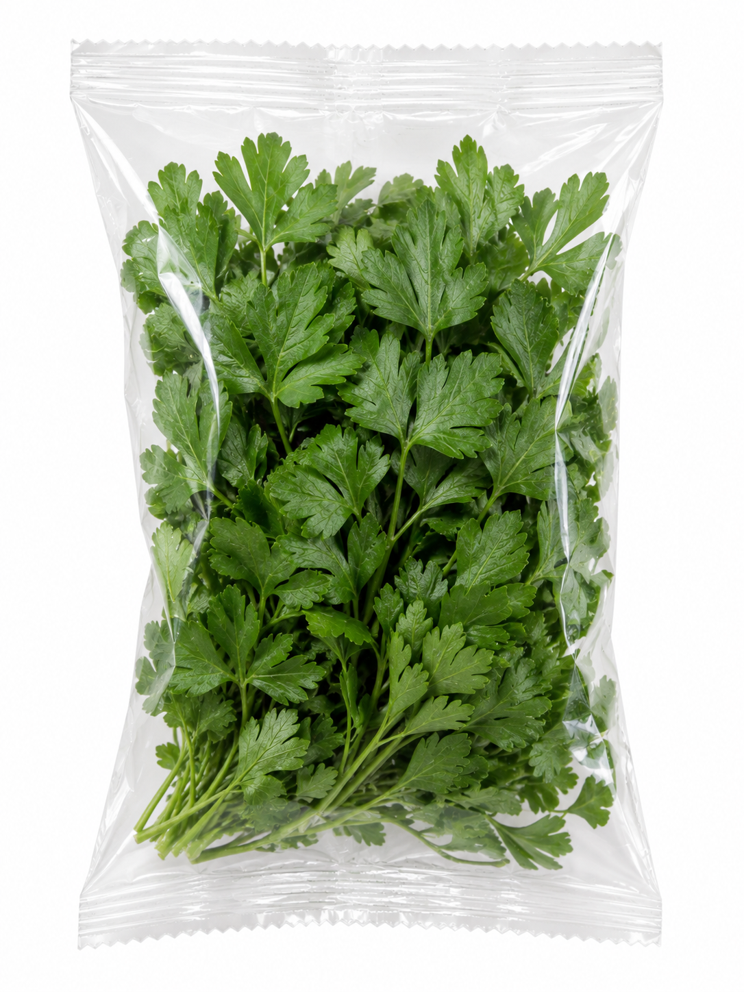 Frenk Maydanozu 25 Gram