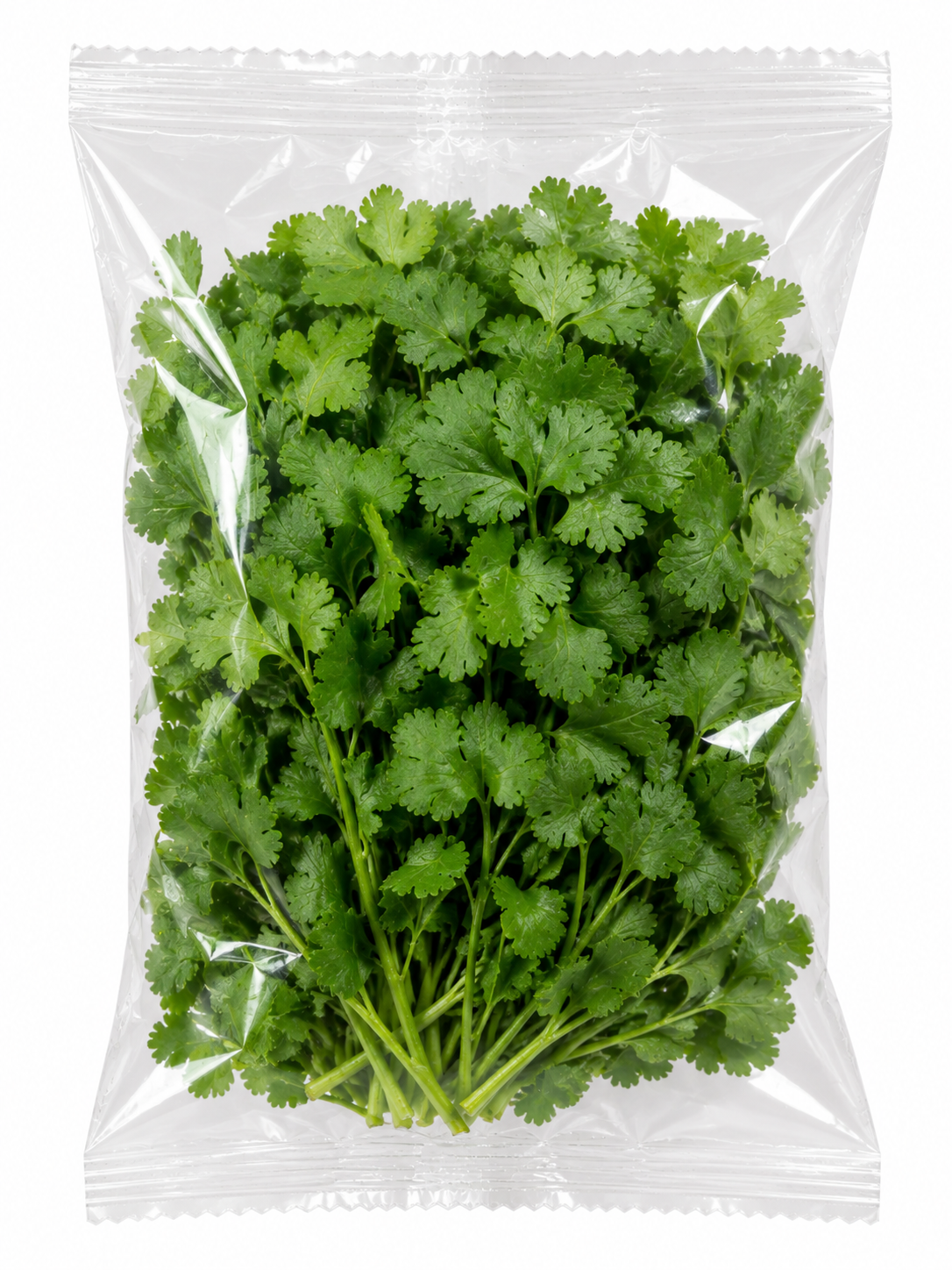 Kişniş 25 Gram