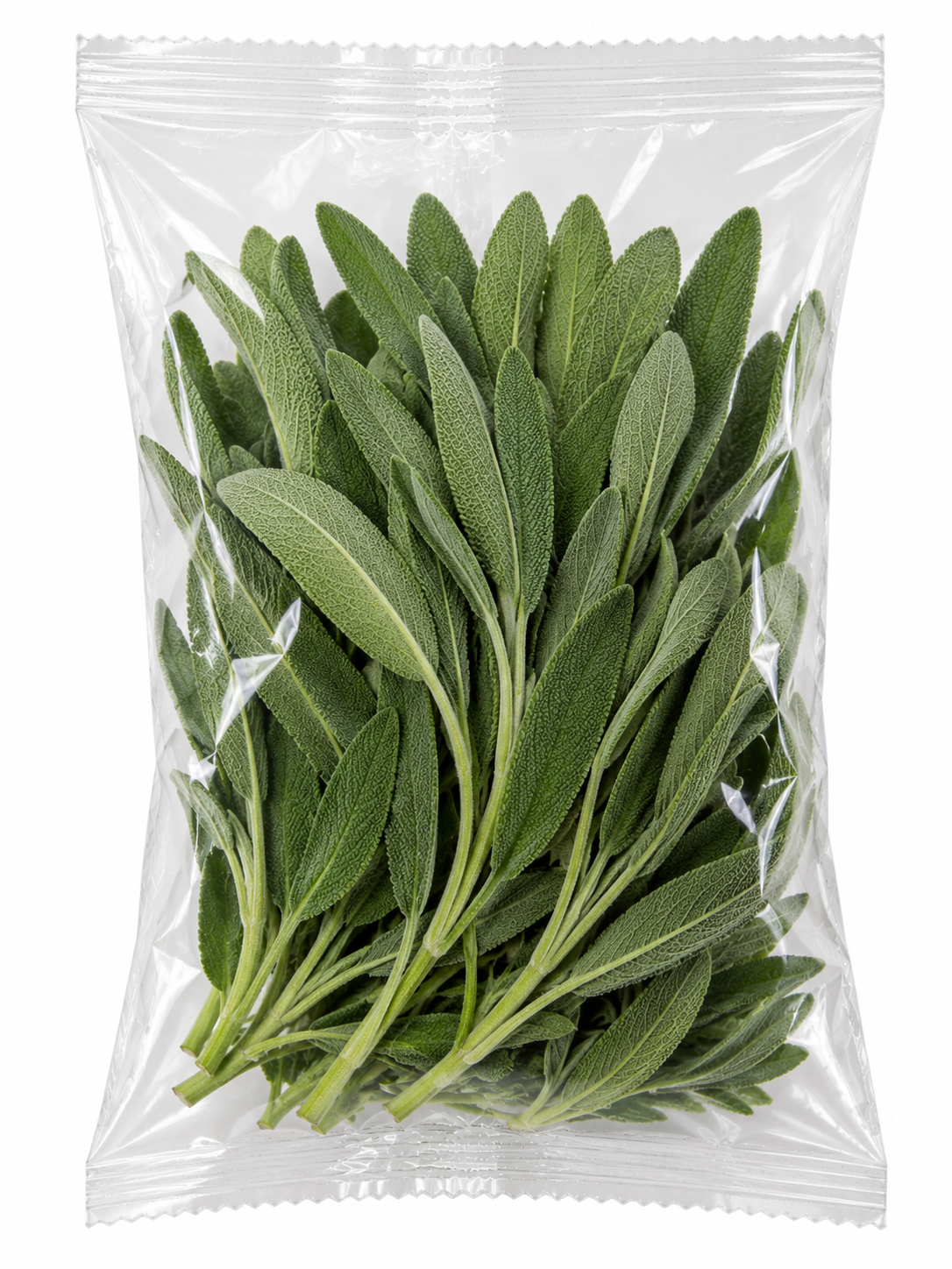 Adaçayı 25 Gram