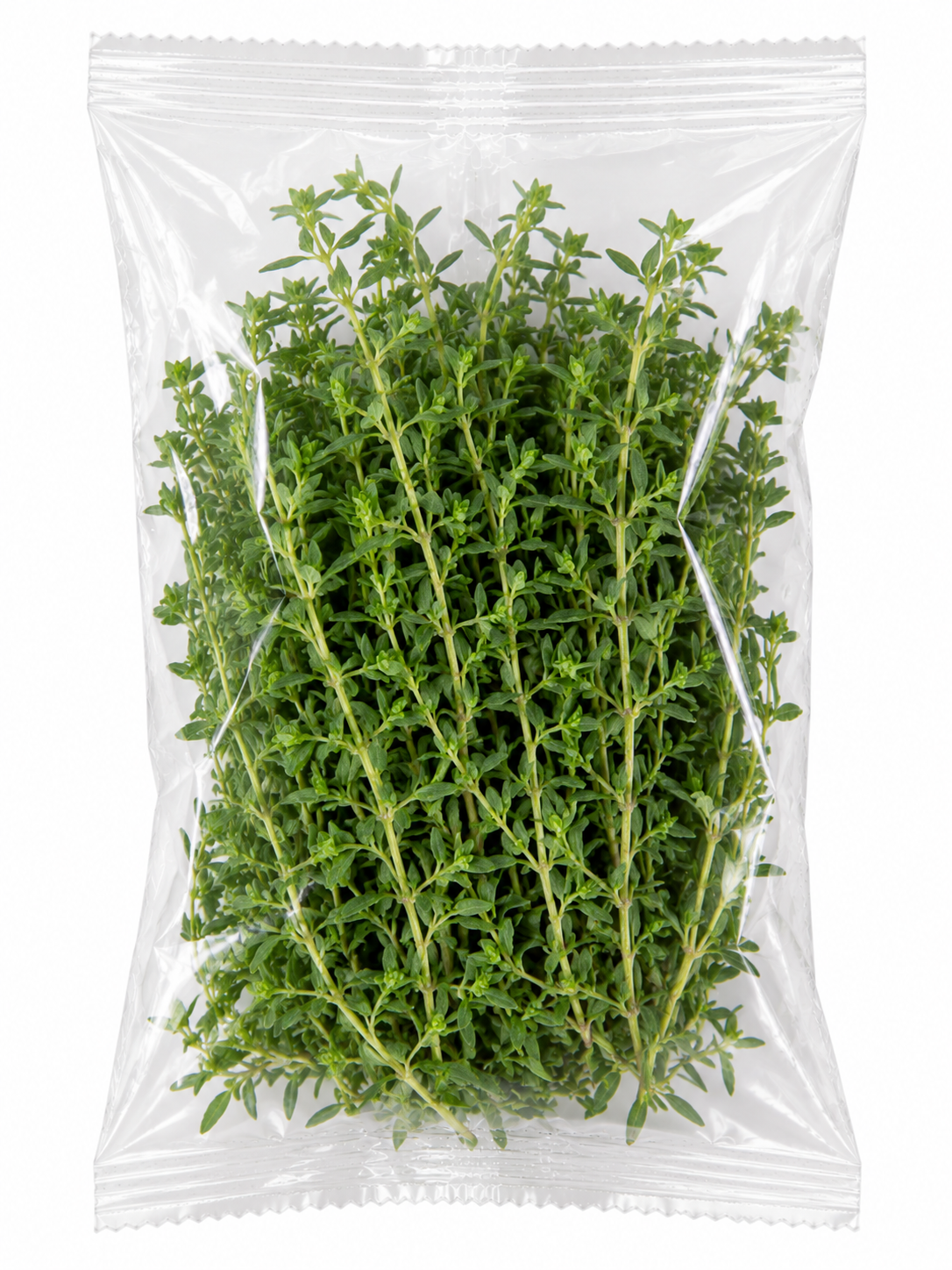 Majorana (Mercanköşk) 25 Gram