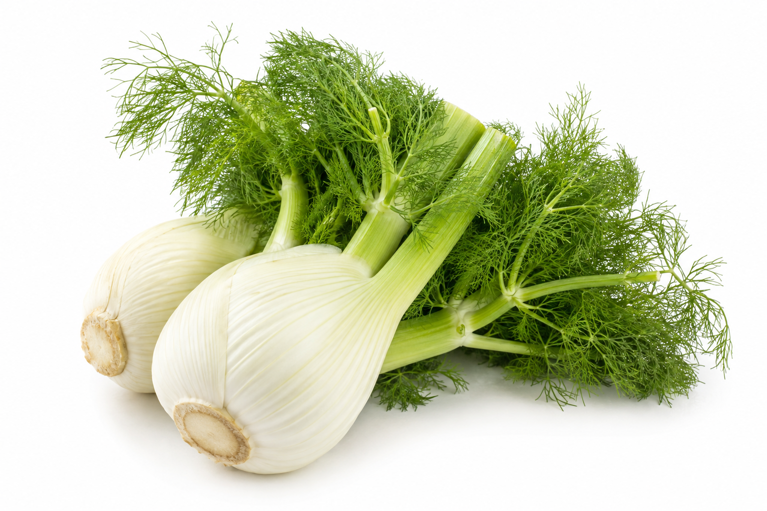 Rezene