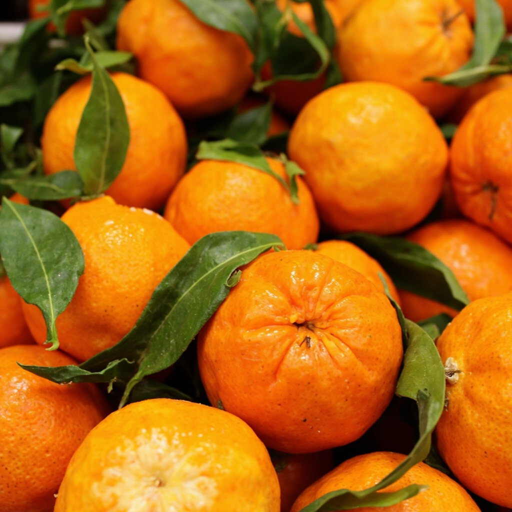 Mandalina