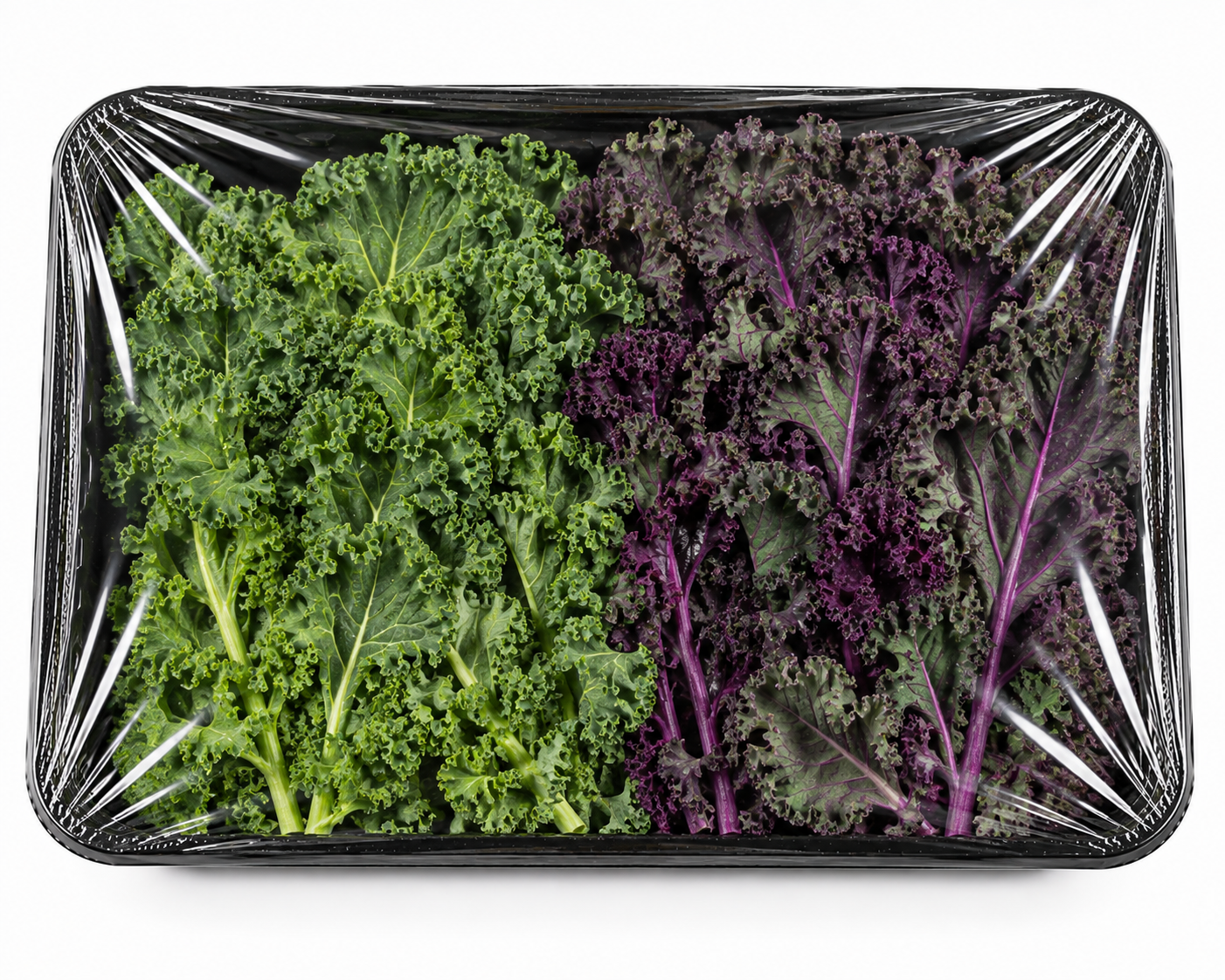 Kale Yaprağı Kırmızı ve Yeşil 500gr