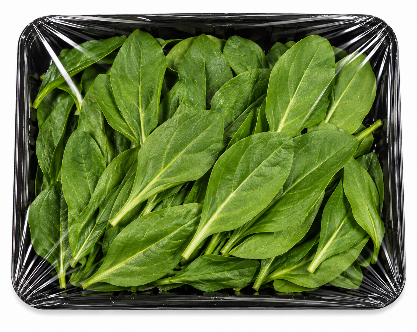 Yeşil Kuzu Kulağı 500gr
