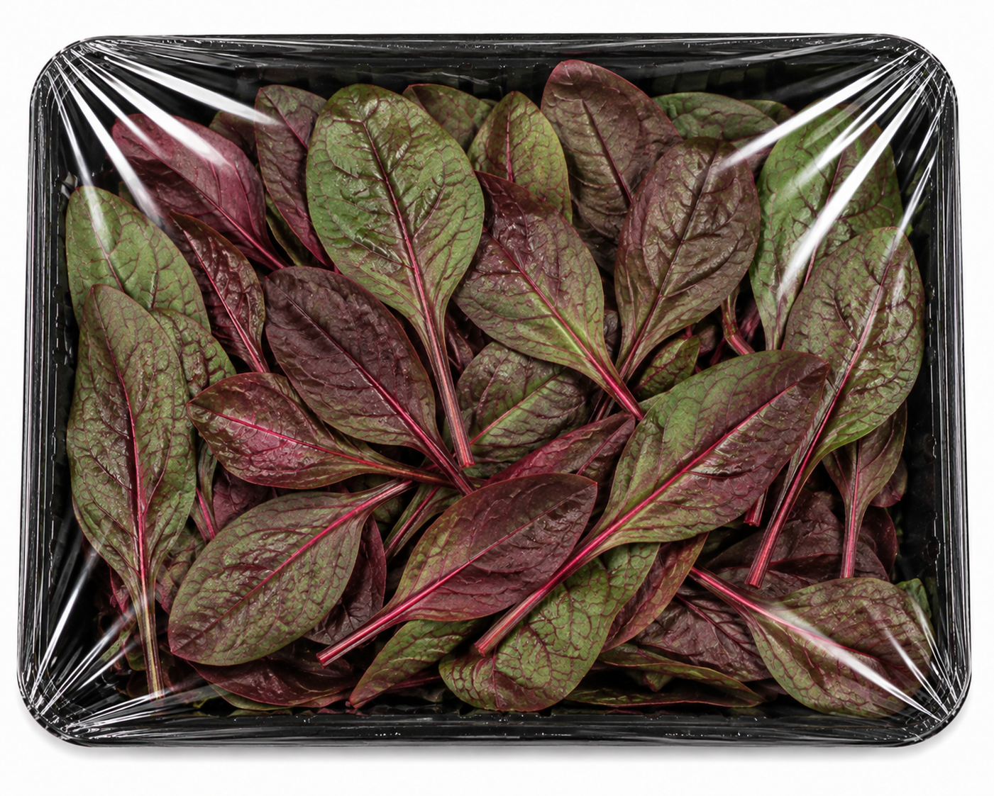 Kırmızı Kuzu Kulağı 500gr